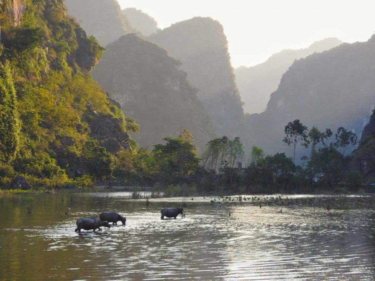 Ninh Binh - Tour del Vietnam e Cambogia