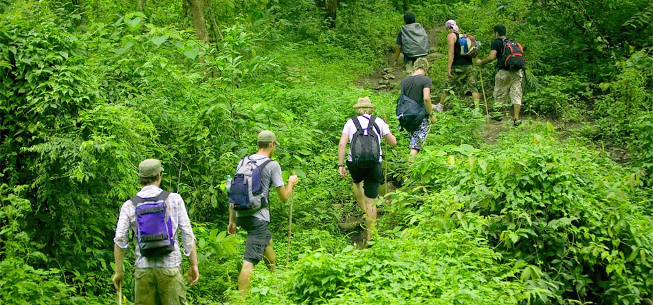 fauna selvatica del Vietnam, parco nazionale di Cuc Phuong