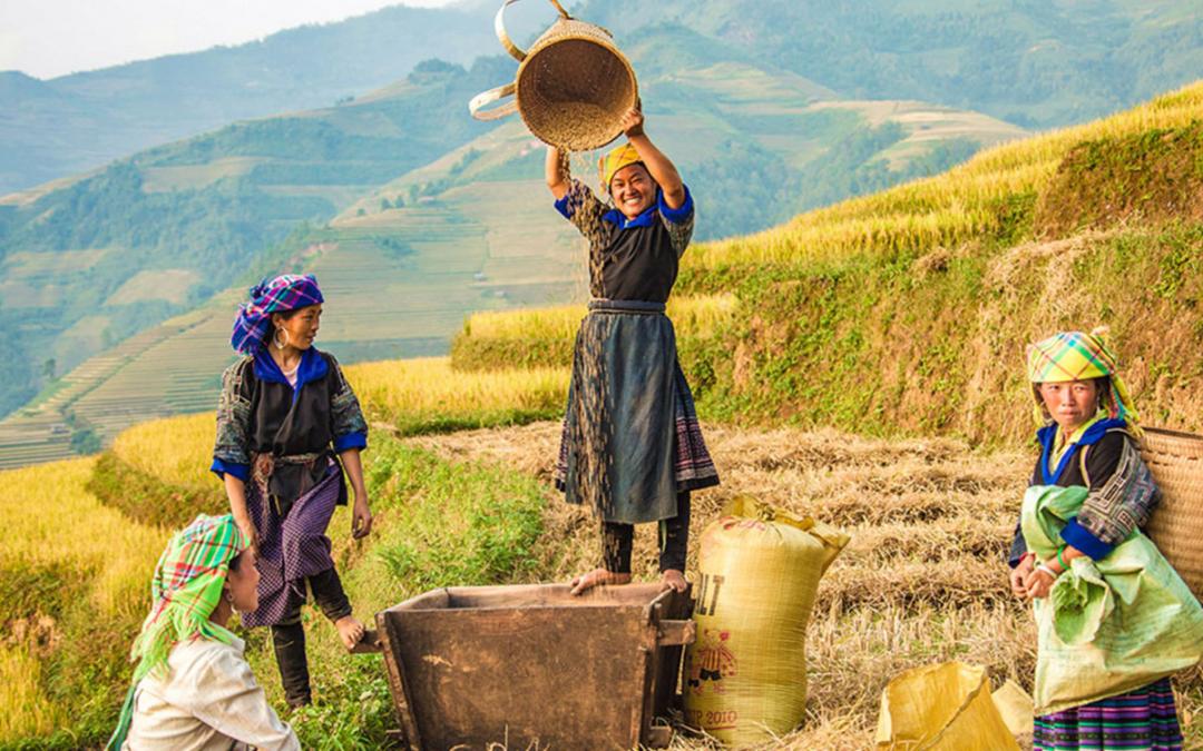 tour di Ha Giang, guida turistica di Ha Giang