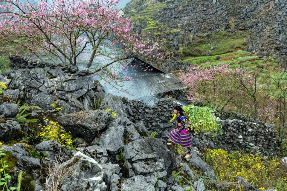 visita ha giang