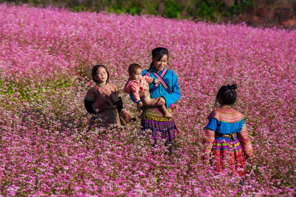 cosa fare ad Ha Giang, percorso ad Ha Giang, visitare Ha Giang