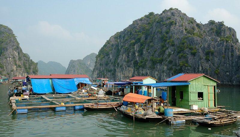 villaggio galleggiante di Cai Beo, meteo di Cat Ba in Vietnam