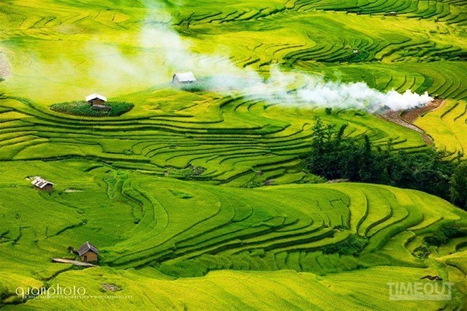 vacanza in Vietnam, il periodo migliore per vedere le risaie in Vietnam