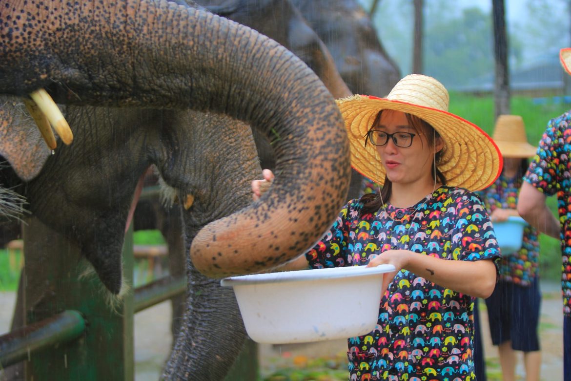 Il team di Lux Travel fa il bagno agli elefanti a Chiang Mai, viaggi ecosostenibili