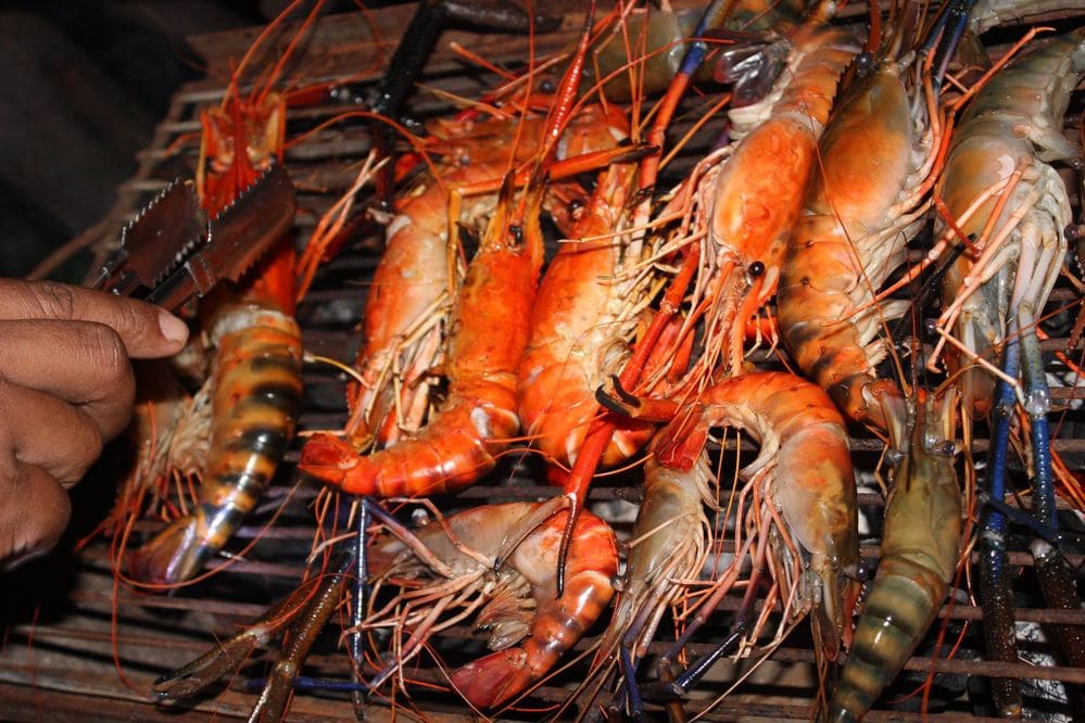 isola di koh kong cambogia, isola di koh kong, prenotazione koh kong, cibo di koh kong, isola di koh kong krao, attrazioni turistiche di koh kong