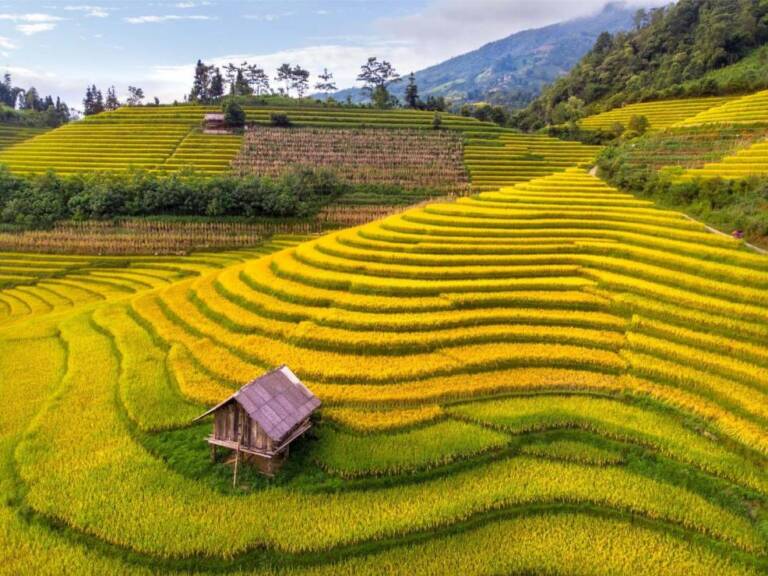 weather-in-sapa-vietnam-2