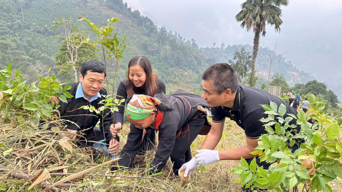 luxgroup foundation