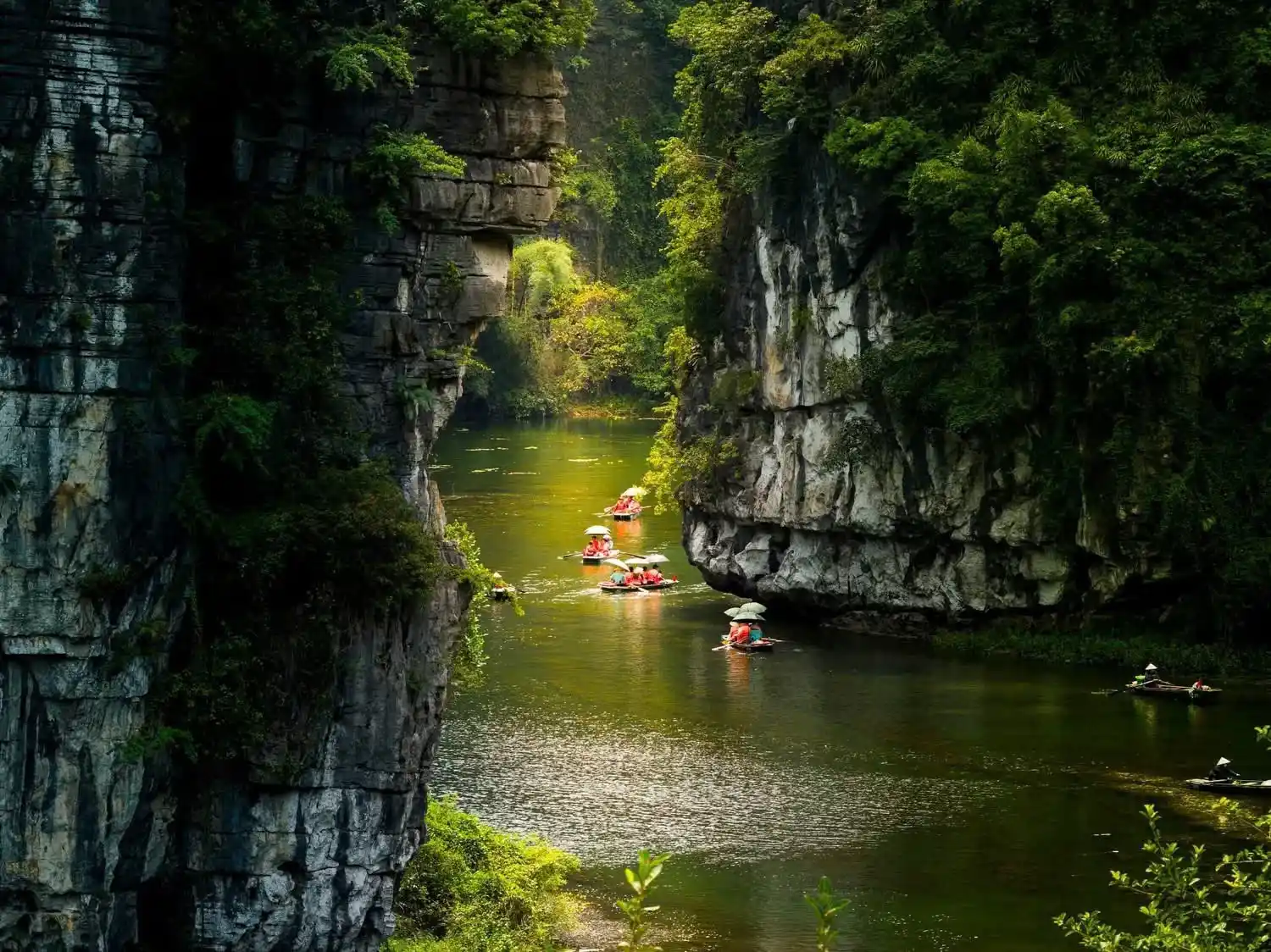 tour operator Vietnam