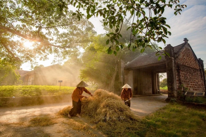viaggio in vietnam organizzato