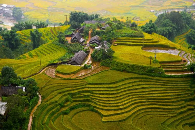 vietnam inbound tour operator