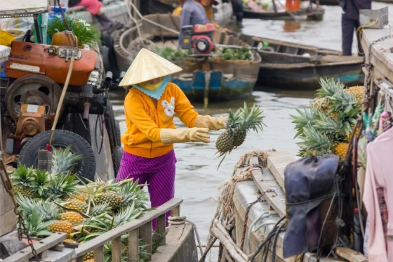 miglior tour operator per Vietnam
