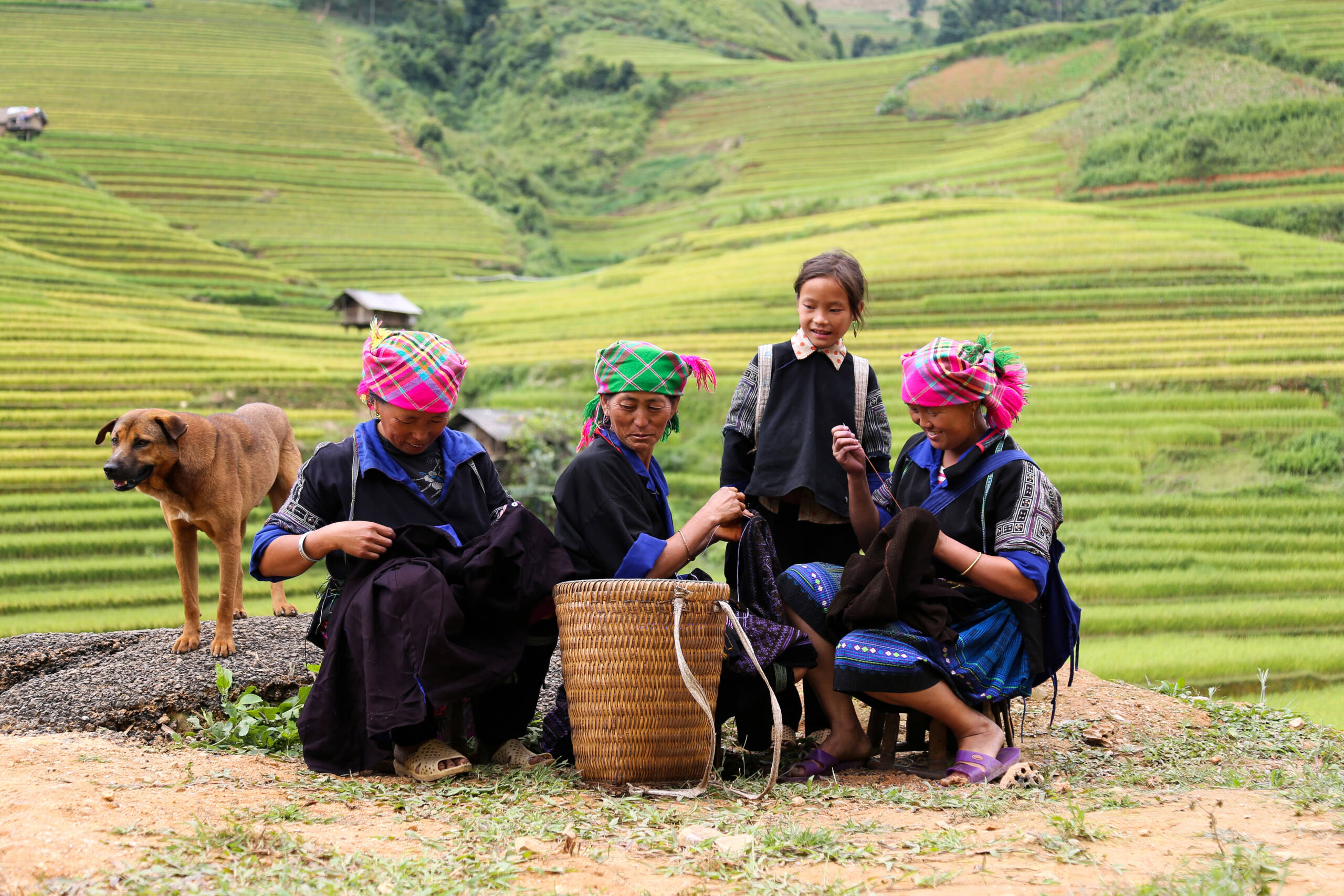 tour vietnam 15 giorni Vale la pena aggiungere Ha Giang a un tour Vietnam 15 giorni?