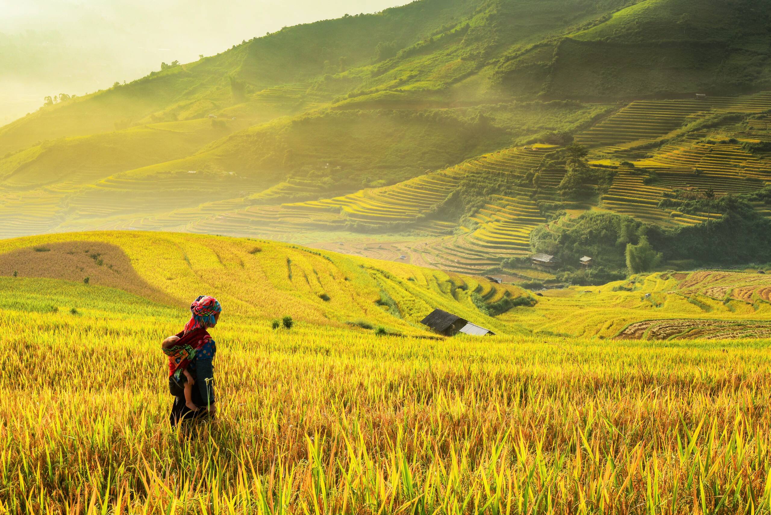 offerte viaggi vietnam Un'esperienza su misura secondo il proprio stile di viaggio