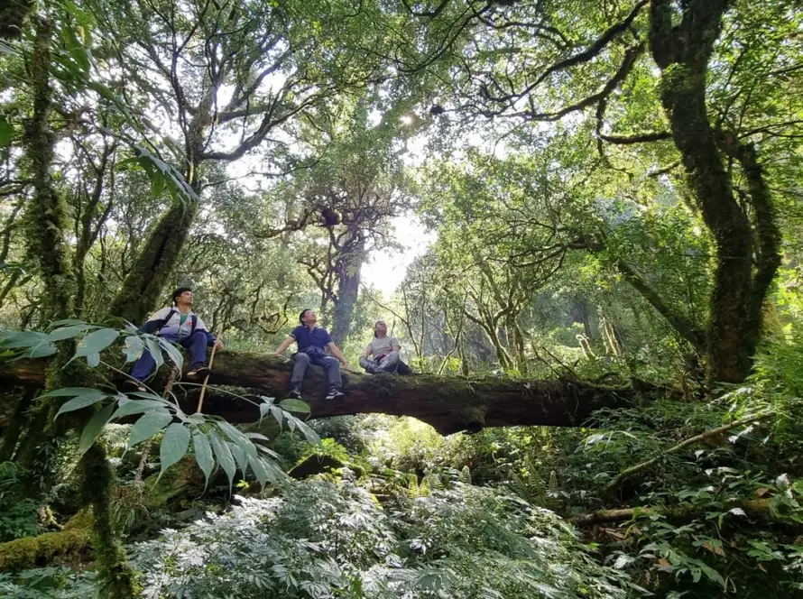 Con Vietnam tour operator locali, vivi un trekking a Lai Chau tra montagne maestose, foreste incontaminate e incontri autentici con le comunità etniche del Vietnam.