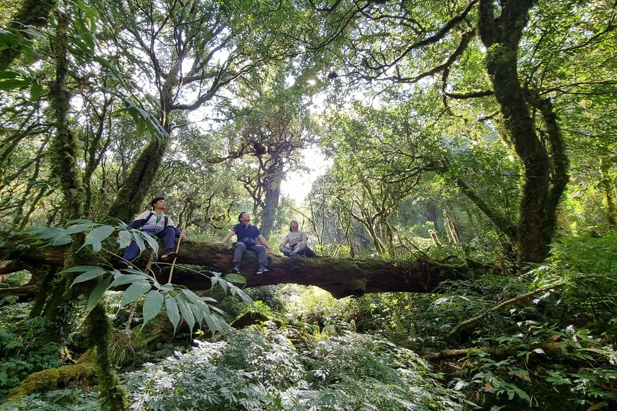 Con Vietnam tour operator locali, vivi un trekking a Lai Chau tra montagne maestose, foreste incontaminate e incontri autentici con le comunità etniche del Vietnam.