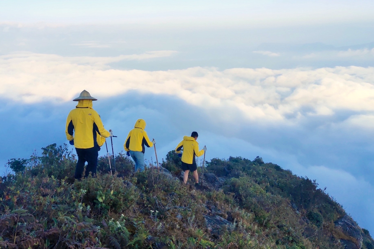 Con Vietnam tour operator locali, puoi scegliere il periodo ideale e preparare un trekking a Lai Chau con percorsi adatti, equipaggiamento adeguato e guide esperte del territorio.