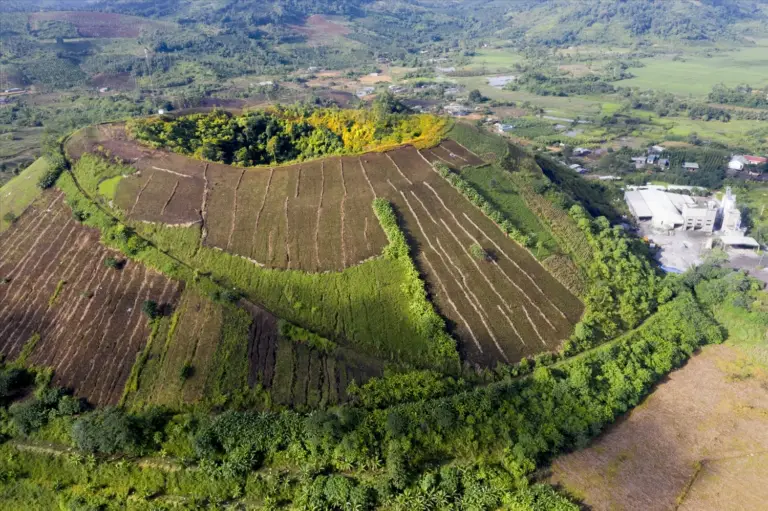 Con un Itinerario Vietnam 15 giorni, scopri Dak Nong, dove la storia della Terra si intreccia con le culture del Vietnam tra paesaggi vulcanici, patrimonio geologico e tradizioni locali.