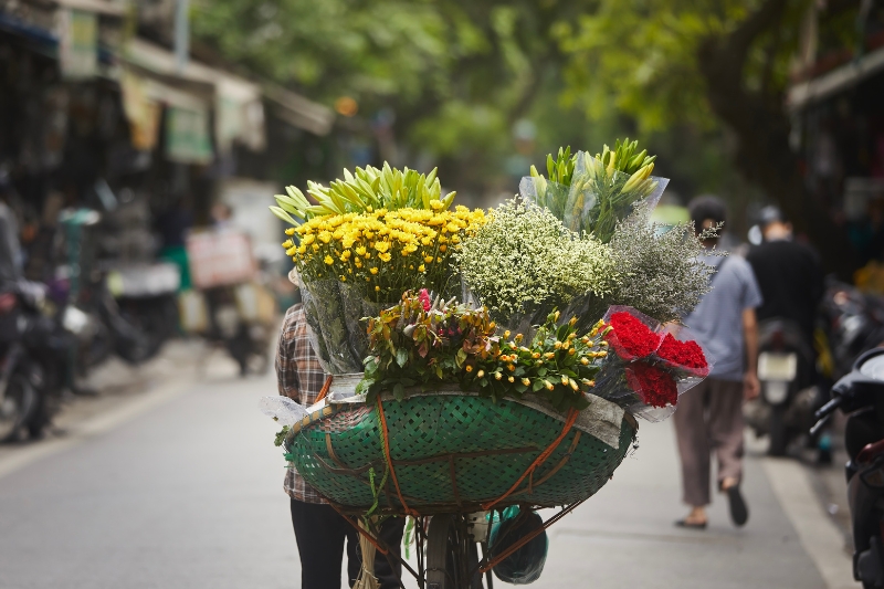 ARRIVO AD HANOI [Guida]