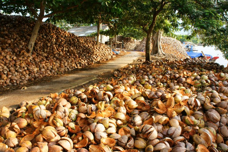 DELTA DEL MEKONG – HO CHI MINH [Guida/Co/P]