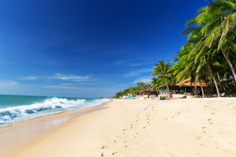 VACANZA SULLA SPIAGGIA DI MUI NE [Co]