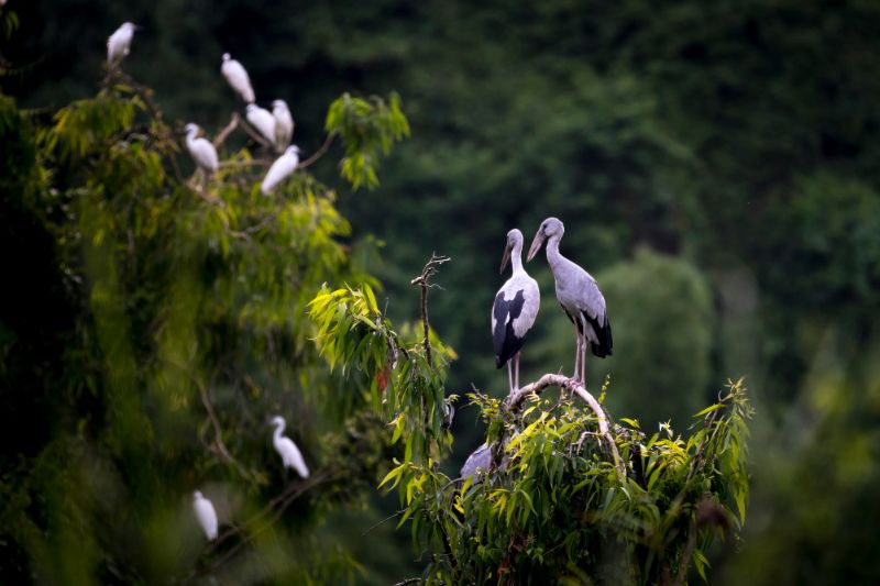 HANOI – NINHBINH – HANOI [Guida/Co]