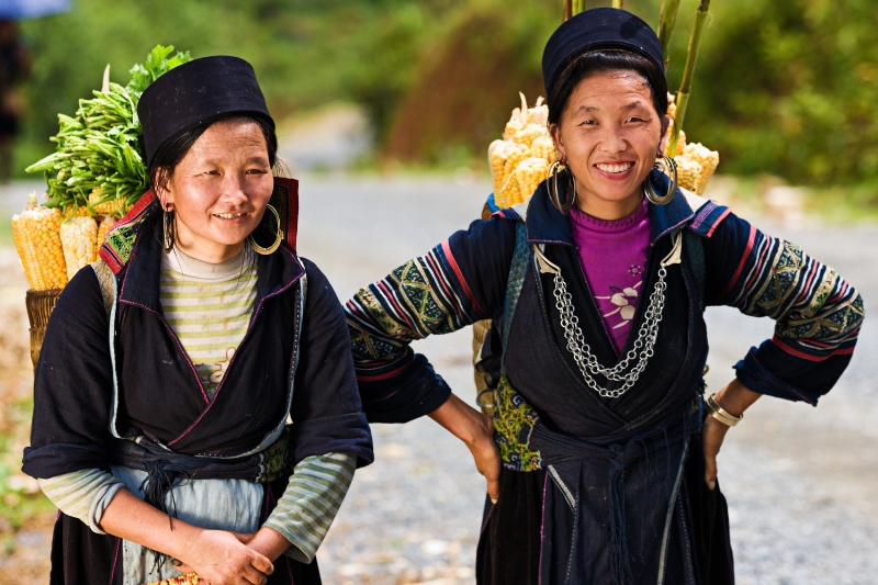 SAPA [Guida/Co]