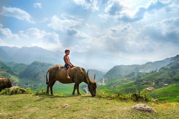 Autentico Vietnam 12 giorni