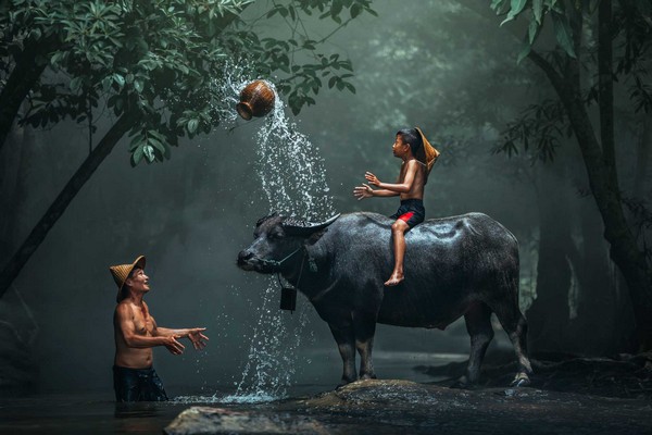 Essenze del Vietnam nei 16 giorni