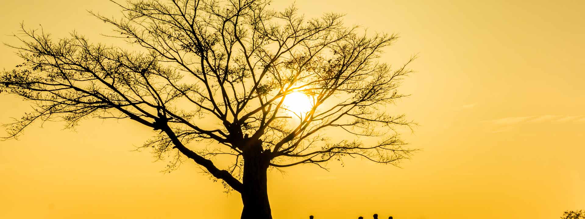 Vietnam Cambogia Phnom Penh 15 giorni