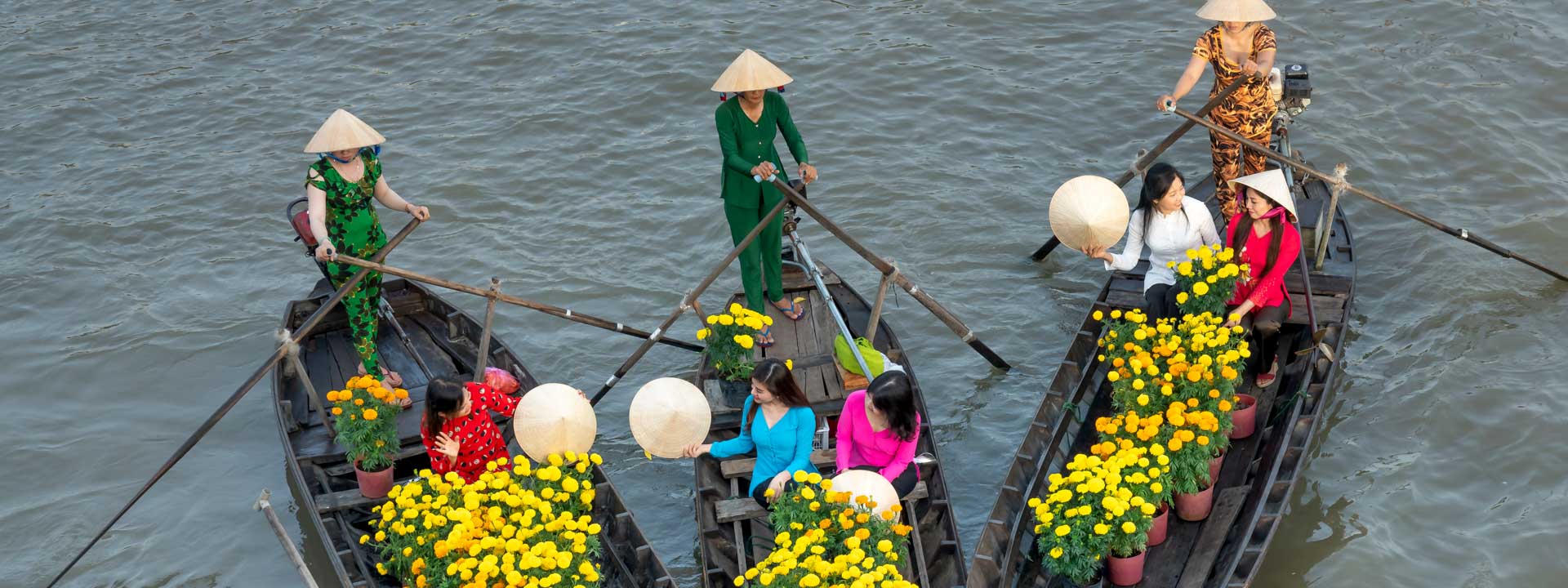 Ammirare la bellezza del Vietnam in 12 giorni